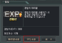 경험치아이템 일괄 사용