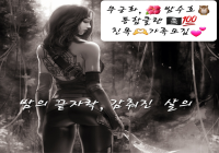 밤수호🎆무궁화.🌺통합클랜🦉친목성인💥클원 모집 中⚡️⚡️💯
