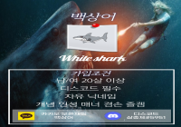 🔱백상어 클랜에서 클랜원모집합니다~🔱