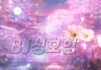 아프리카 TV BJ가 운영하는! 제3보급 라플 or  스나수 구해봐요 ^^