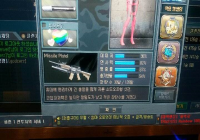 무슨 총?
