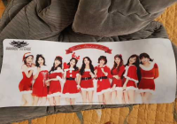 트와이스 장패드 
