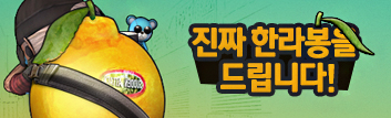 진짜! 한라봉을 드립니다!