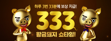 333 황금돼지 쇼타임!