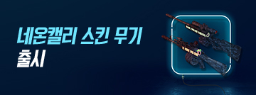 네온캘리 스킨 무기 멀티카운트 출시