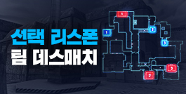 선택 리스폰 팀 데스매치 업데이트