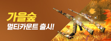 가을숲 스킨 무기 출시!