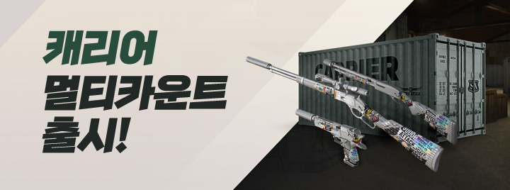 캐리어 스킨 무기 출시!